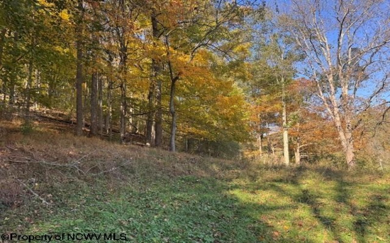 TBD Wetstone Road, Mannington, West Virginia 26582, 0 , 0 ,0,Lots/land,For Sale,Wetstone,0,10167466