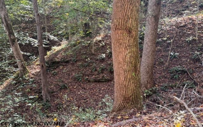 TBD Wetstone Road, Mannington, West Virginia 26582, 0 , 0 ,0,Lots/land,For Sale,Wetstone,0,10167466