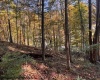 TBD Wetstone Road, Mannington, West Virginia 26582, 0 , 0 ,0,Lots/land,For Sale,Wetstone,0,10167466