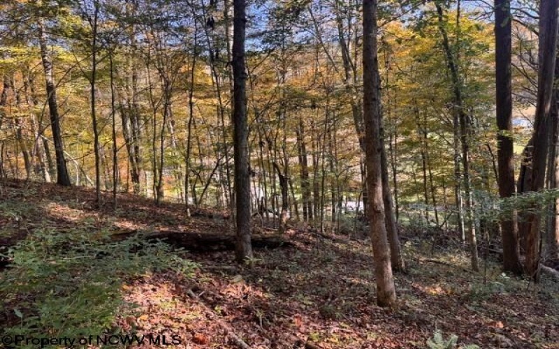 TBD Wetstone Road, Mannington, West Virginia 26582, 0 , 0 ,0,Lots/land,For Sale,Wetstone,0,10167466