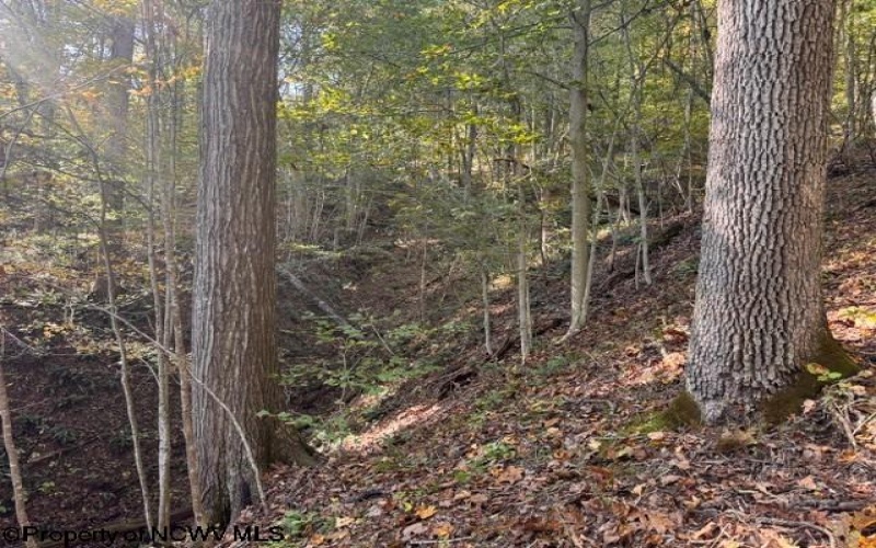 TBD Wetstone Road, Mannington, West Virginia 26582, 0 , 0 ,0,Lots/land,For Sale,Wetstone,0,10167466