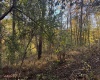 TBD Wetstone Road, Mannington, West Virginia 26582, 0 , 0 ,0,Lots/land,For Sale,Wetstone,0,10167466