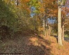 TBD Wetstone Road, Mannington, West Virginia 26582, 0 , 0 ,0,Lots/land,For Sale,Wetstone,0,10167466