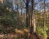 TBD Wetstone Road, Mannington, West Virginia 26582, 0 , 0 ,0,Lots/land,For Sale,Wetstone,0,10167466