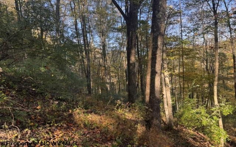 TBD Wetstone Road, Mannington, West Virginia 26582, 0 , 0 ,0,Lots/land,For Sale,Wetstone,0,10167466