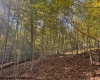 TBD Wetstone Road, Mannington, West Virginia 26582, 0 , 0 ,0,Lots/land,For Sale,Wetstone,0,10167466