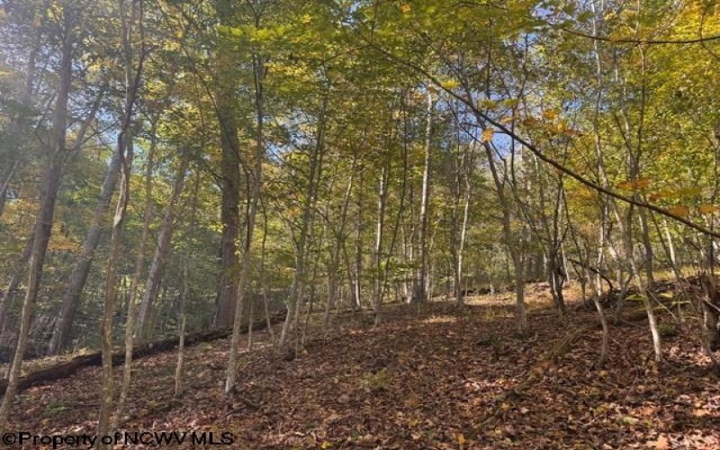 TBD Wetstone Road, Mannington, West Virginia 26582, 0 , 0 ,0,Lots/land,For Sale,Wetstone,0,10167466