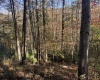TBD Wetstone Road, Mannington, West Virginia 26582, 0 , 0 ,0,Lots/land,For Sale,Wetstone,0,10167466