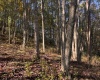 TBD Wetstone Road, Mannington, West Virginia 26582, 0 , 0 ,0,Lots/land,For Sale,Wetstone,0,10167466