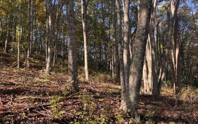 TBD Wetstone Road, Mannington, West Virginia 26582, 0 , 0 ,0,Lots/land,For Sale,Wetstone,0,10167466