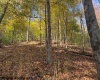 TBD Wetstone Road, Mannington, West Virginia 26582, 0 , 0 ,0,Lots/land,For Sale,Wetstone,0,10167466