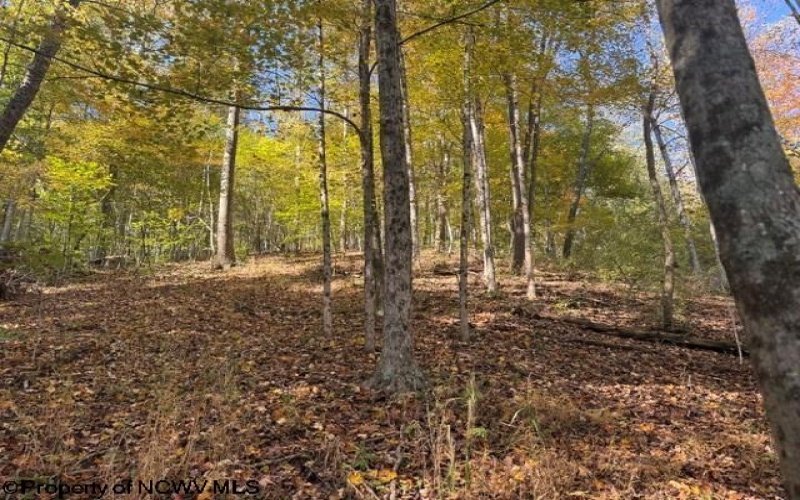 TBD Wetstone Road, Mannington, West Virginia 26582, 0 , 0 ,0,Lots/land,For Sale,Wetstone,0,10167466