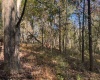 TBD Wetstone Road, Mannington, West Virginia 26582, 0 , 0 ,0,Lots/land,For Sale,Wetstone,0,10167466
