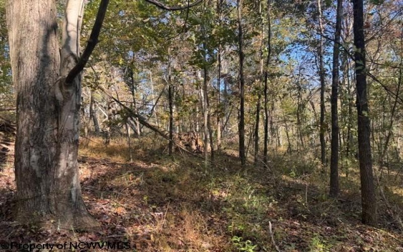 TBD Wetstone Road, Mannington, West Virginia 26582, 0 , 0 ,0,Lots/land,For Sale,Wetstone,0,10167466