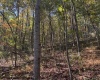 TBD Wetstone Road, Mannington, West Virginia 26582, 0 , 0 ,0,Lots/land,For Sale,Wetstone,0,10167466