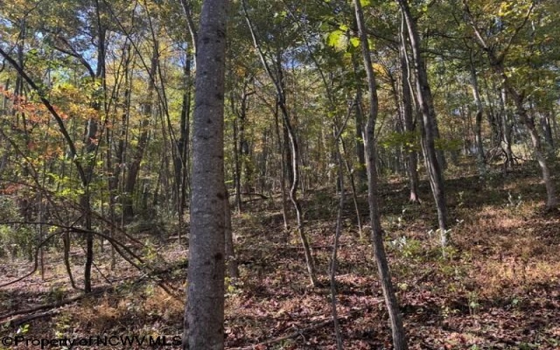TBD Wetstone Road, Mannington, West Virginia 26582, 0 , 0 ,0,Lots/land,For Sale,Wetstone,0,10167466