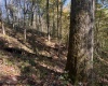 TBD Wetstone Road, Mannington, West Virginia 26582, 0 , 0 ,0,Lots/land,For Sale,Wetstone,0,10167466