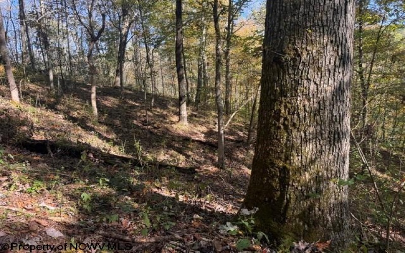 TBD Wetstone Road, Mannington, West Virginia 26582, 0 , 0 ,0,Lots/land,For Sale,Wetstone,0,10167466