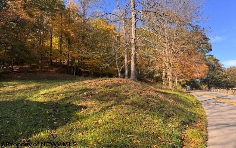 TBD Wetstone Road, Mannington, West Virginia 26582, 0 , 0 ,0,Lots/land,For Sale,Wetstone,0,10167466