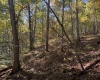 TBD Wetstone Road, Mannington, West Virginia 26582, 0 , 0 ,0,Lots/land,For Sale,Wetstone,0,10167466