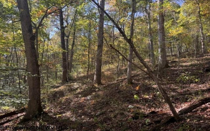 TBD Wetstone Road, Mannington, West Virginia 26582, 0 , 0 ,0,Lots/land,For Sale,Wetstone,0,10167466