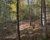 TBD Wetstone Road, Mannington, West Virginia 26582, 0 , 0 ,0,Lots/land,For Sale,Wetstone,0,10167466