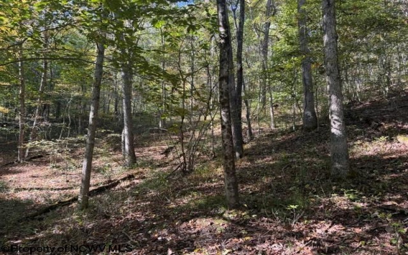 TBD Wetstone Road, Mannington, West Virginia 26582, 0 , 0 ,0,Lots/land,For Sale,Wetstone,0,10167466