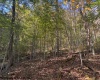 TBD Wetstone Road, Mannington, West Virginia 26582, 0 , 0 ,0,Lots/land,For Sale,Wetstone,0,10167466