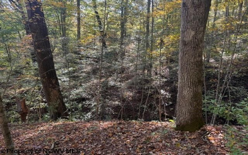 TBD Wetstone Road, Mannington, West Virginia 26582, 0 , 0 ,0,Lots/land,For Sale,Wetstone,0,10167466