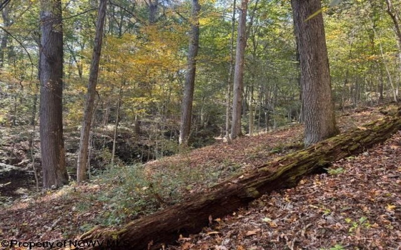 TBD Wetstone Road, Mannington, West Virginia 26582, 0 , 0 ,0,Lots/land,For Sale,Wetstone,0,10167466