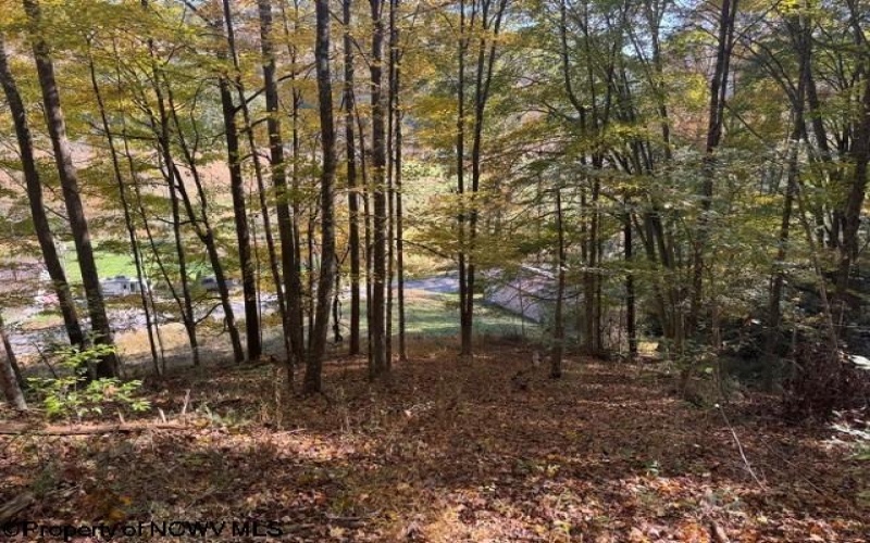 TBD Wetstone Road, Mannington, West Virginia 26582, 0 , 0 ,0,Lots/land,For Sale,Wetstone,0,10167466