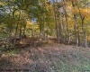 TBD Wetstone Road, Mannington, West Virginia 26582, 0 , 0 ,0,Lots/land,For Sale,Wetstone,0,10167466
