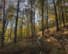 TBD Wetstone Road, Mannington, West Virginia 26582, 0 , 0 ,0,Lots/land,For Sale,Wetstone,0,10167466
