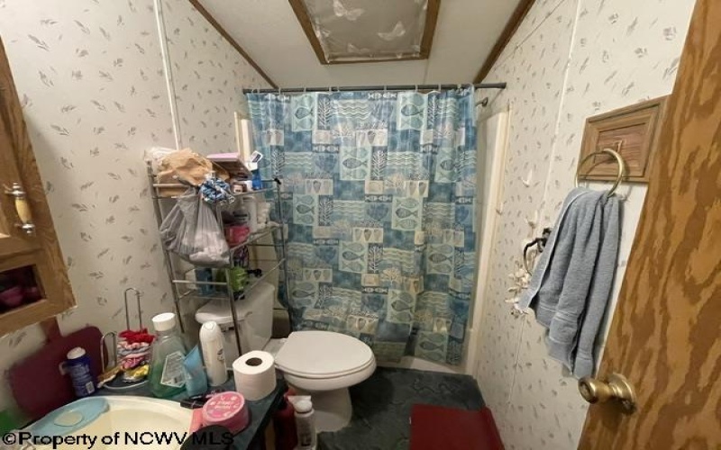 1307 Ruth Farm Road, Bruceton Mills, West Virginia 26525, 3 Bedroom Bedrooms, 7 Room Rooms,2 BathroomBathrooms,Single Family Detached,For Sale,Ruth Farm,0,10167467
