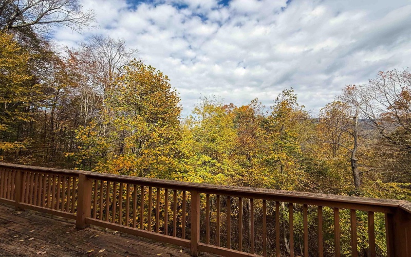 981 Eagles Nest Road, Elkins, West Virginia 26241, 1 Bedroom Bedrooms, 2 Room Rooms,1 BathroomBathrooms,Single Family Detached,For Sale,Eagles Nest,0,10167470