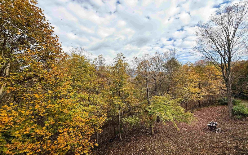 981 Eagles Nest Road, Elkins, West Virginia 26241, 1 Bedroom Bedrooms, 2 Room Rooms,1 BathroomBathrooms,Single Family Detached,For Sale,Eagles Nest,0,10167470
