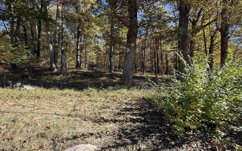 26032 Veterans Memorial Highway, Terra Alta, West Virginia 26764, 4 Bedroom Bedrooms, 9 Room Rooms,3 BathroomBathrooms,Single Family Detached,For Sale,Veterans Memorial,0,10167475