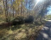 Lot 109 Redwood Drive, Terra Alta, West Virginia 26764, 0 , 0 ,0,Lots/land,For Sale,Redwood,0,10162047