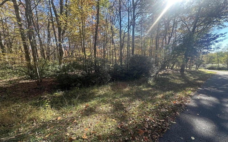 Lot 109 Redwood Drive, Terra Alta, West Virginia 26764, 0 , 0 ,0,Lots/land,For Sale,Redwood,0,10162047