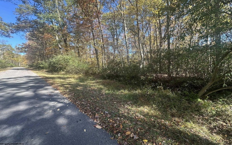 Lot 109 Redwood Drive, Terra Alta, West Virginia 26764, 0 , 0 ,0,Lots/land,For Sale,Redwood,0,10162047