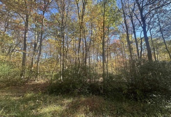 Lot 109 Redwood Drive, Terra Alta, West Virginia 26764, 0 , 0 ,0,Lots/land,For Sale,Redwood,0,10162047