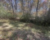 Lot 109 Redwood Drive, Terra Alta, West Virginia 26764, 0 , 0 ,0,Lots/land,For Sale,Redwood,0,10162047