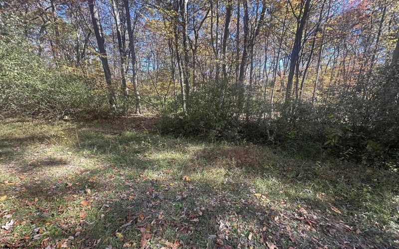 Lot 109 Redwood Drive, Terra Alta, West Virginia 26764, 0 , 0 ,0,Lots/land,For Sale,Redwood,0,10162047
