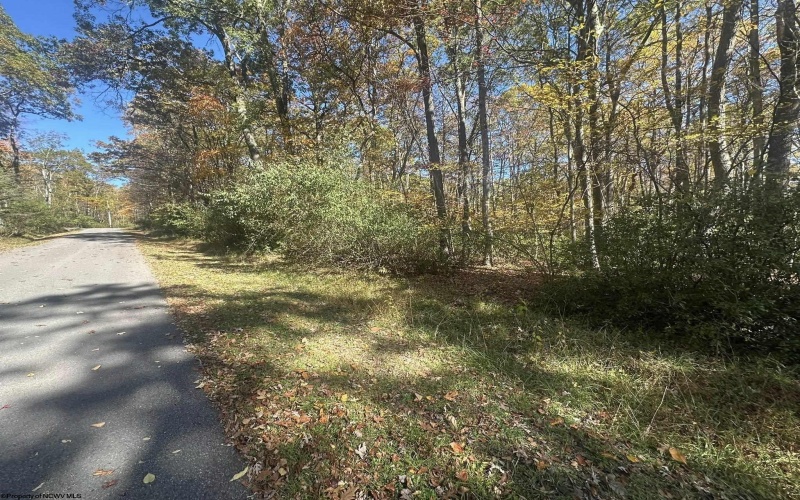 Lot 109 Redwood Drive, Terra Alta, West Virginia 26764, 0 , 0 ,0,Lots/land,For Sale,Redwood,0,10162047