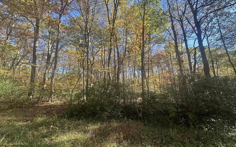 Lot 109 Redwood Drive, Terra Alta, West Virginia 26764, 0 , 0 ,0,Lots/land,For Sale,Redwood,0,10162047
