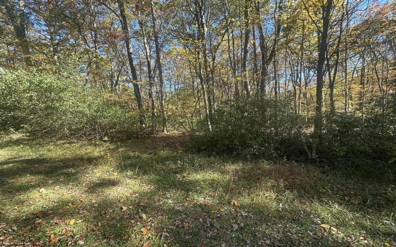Lot 109 Redwood Drive, Terra Alta, West Virginia 26764, 0 , 0 ,0,Lots/land,For Sale,Redwood,0,10162047