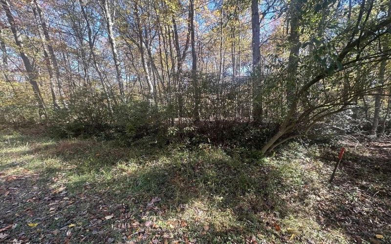 Lot 109 Redwood Drive, Terra Alta, West Virginia 26764, 0 , 0 ,0,Lots/land,For Sale,Redwood,0,10162047