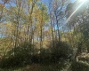 Lot 109 Redwood Drive, Terra Alta, West Virginia 26764, 0 , 0 ,0,Lots/land,For Sale,Redwood,0,10162047