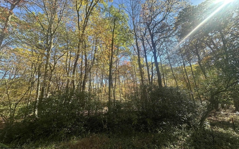 Lot 109 Redwood Drive, Terra Alta, West Virginia 26764, 0 , 0 ,0,Lots/land,For Sale,Redwood,0,10162047