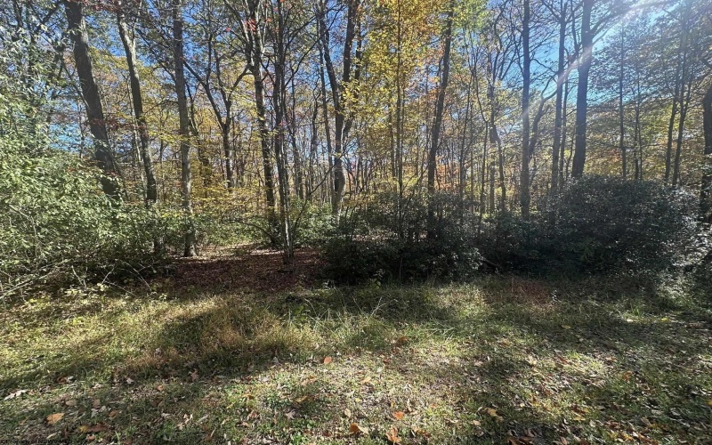 Lot 109 Redwood Drive, Terra Alta, West Virginia 26764, 0 , 0 ,0,Lots/land,For Sale,Redwood,0,10162047